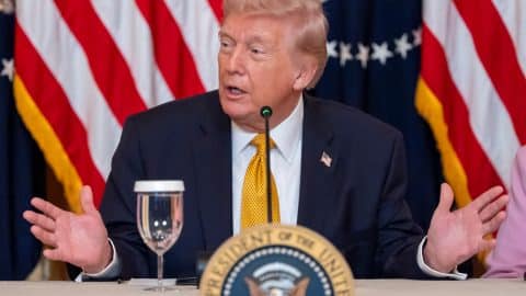 TJJ Q VYDBFE JCTYSQYYLJWVM jpg